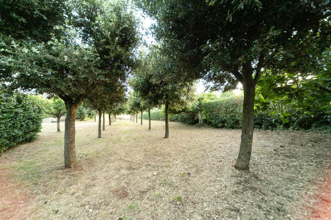 Dimora Beatrice Villa Martina Franca Exteriör bild