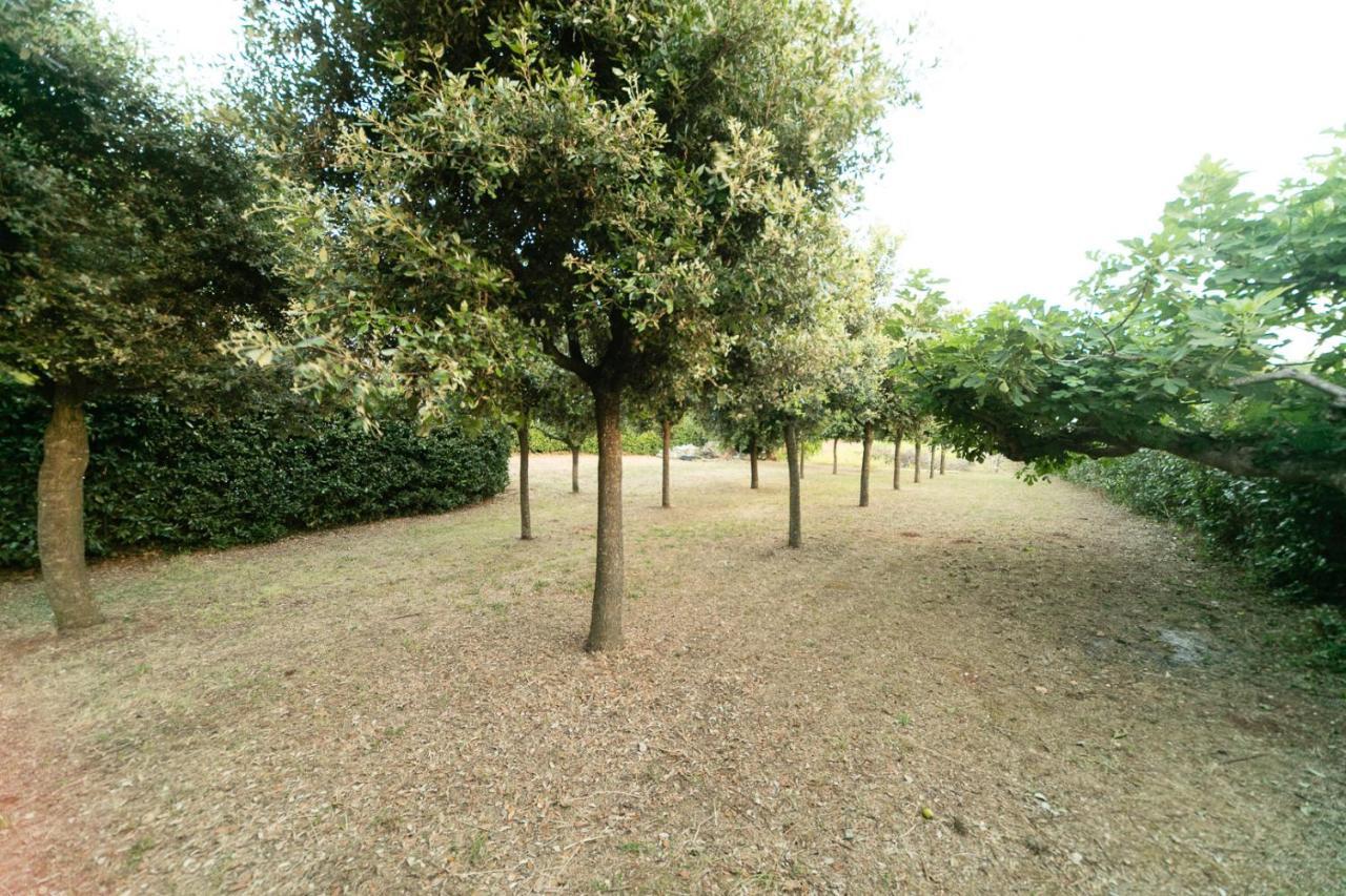 Dimora Beatrice Villa Martina Franca Exteriör bild